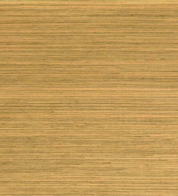 Oculaire, Arte - Line 80710