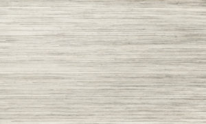 Oculaire, Arte - Line 80711