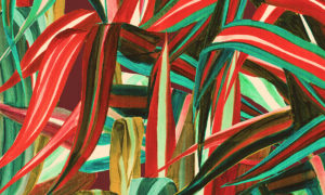 Expedition, Arte - Java 72010
