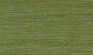 Expedition, Arte - Tasar 72020