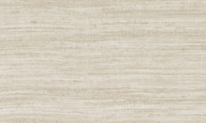 Expedition, Arte - Tasar 72021