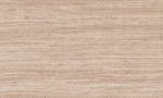 Expedition, Arte - Tasar 72022