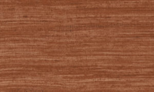 Expedition, Arte - Tasar 72023