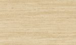 Expedition, Arte - Tasar 72024