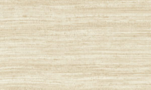 Expedition, Arte - Tasar 72025