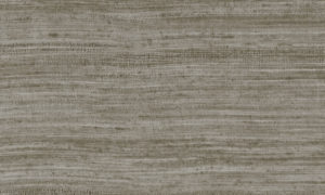 Expedition, Arte - Tasar 72028