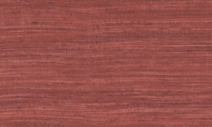 Expedition, Arte - Tasar 72030