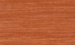 Expedition, Arte - Tasar 72036