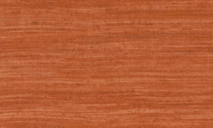 Expedition, Arte - Tasar 72036