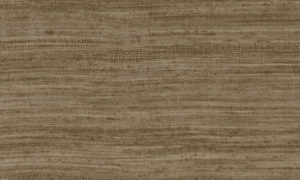 Expedition, Arte - Tasar 72037