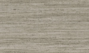 Expedition, Arte - Eri 72055