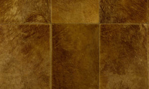 Les Cuirs, Arte, Rectangle 33502