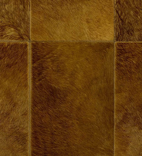 Les Cuirs, Arte, Rectangle 33502