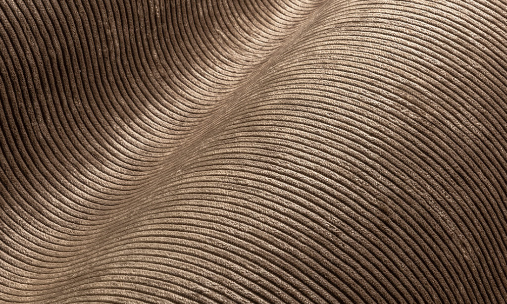 Lush, Arte, Corduroy 29511