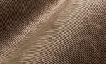 Lush, Arte, Corduroy 29511
