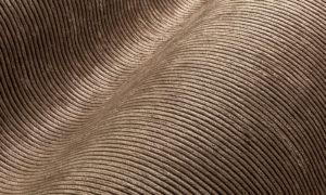 Lush, Arte, Corduroy 29511