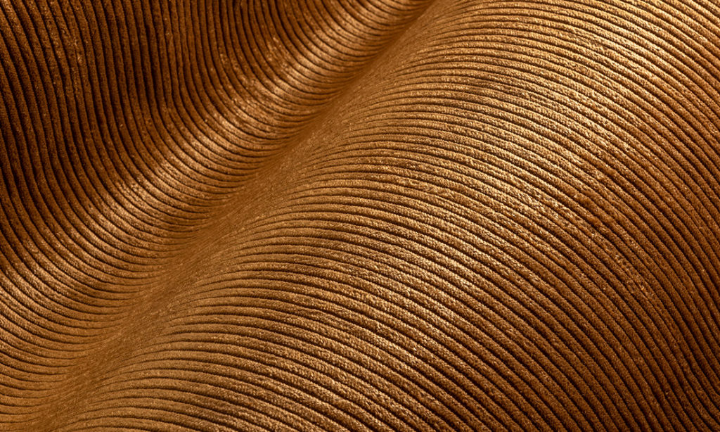 Lush, Arte, Corduroy 29512