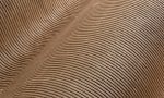 Lush, Arte, Corduroy 29516