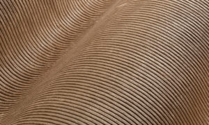 Lush, Arte, Corduroy 29516