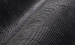 Lush, Arte, Corduroy 29518