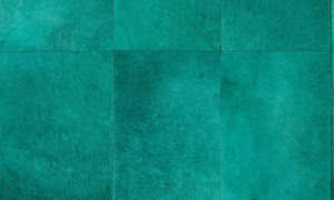 Les Cuirs, Arte, Rectangle 33503