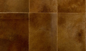 Les Cuirs, Arte, Rectangle 33507