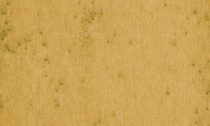 Lush, Arte, Stellar 37519A