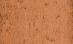 Lush, Arte, Stellar 37523A
