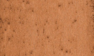 Lush, Arte, Stellar 37523A