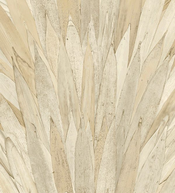Selva Arte Abanico 34000