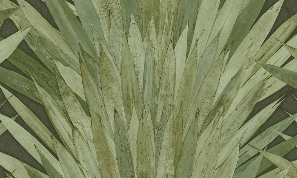 Selva Arte Abanico 34001