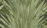 Selva Arte Abanico 34001