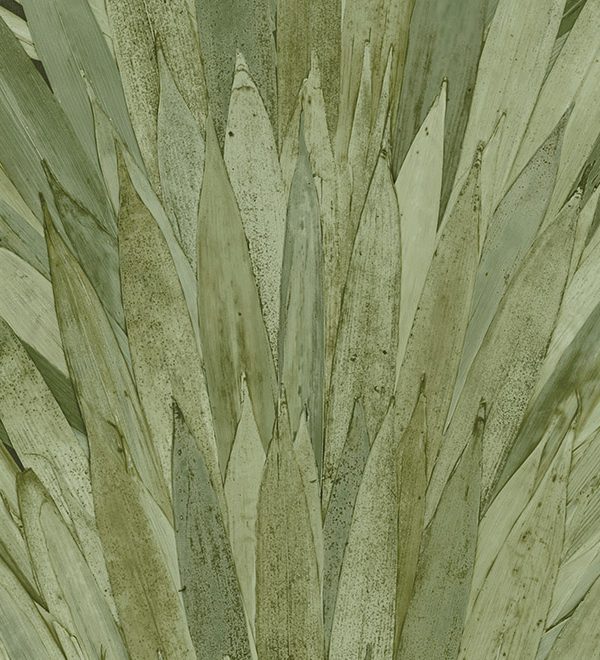Selva Arte Abanico 34001