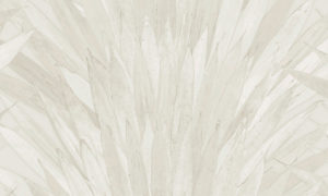 Selva Arte Abanico 34002