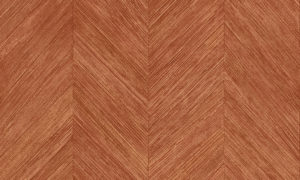 Selva Arte Corteza 34204
