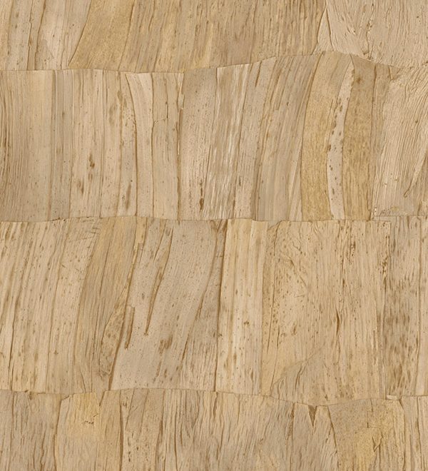 Selva Arte Capas 34307