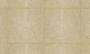 Icons Arte Shagreen 85520