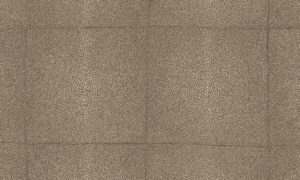 Icons Arte Shagreen 85521