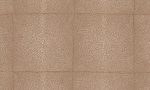 Icons Arte Shagreen 85522