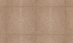 Icons Arte Shagreen 85522