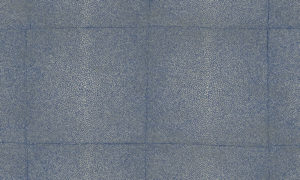 Icons Arte Shagreen 85523