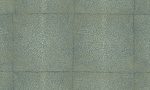 Icons Arte Shagreen 85526