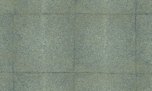 Icons Arte Shagreen 85526