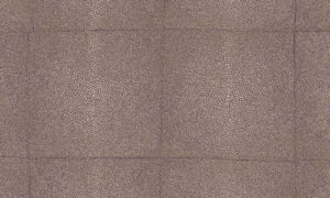Icons Arte Shagreen 85527