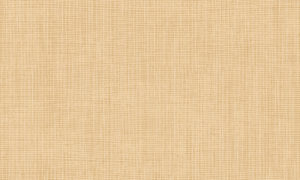 Manila Arte Tulle 73080A