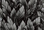 Caribbean, Hooked on Walls 27208