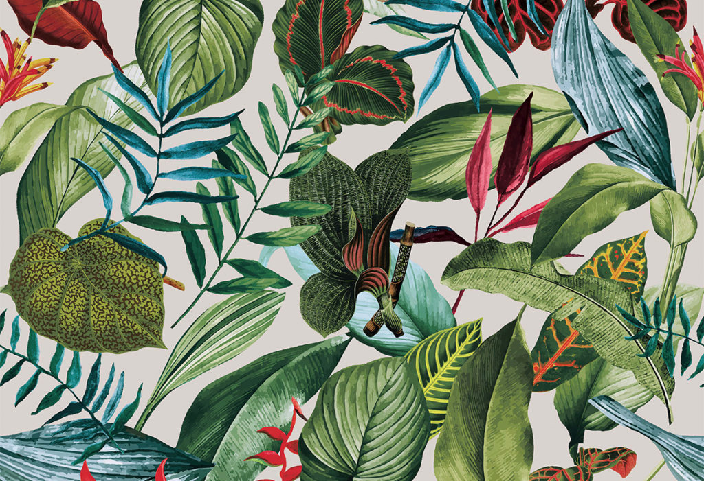Caribbean, Hooked on Walls 27222