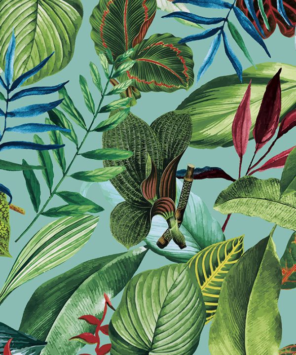 Caribbean, Hooked on Walls 27223