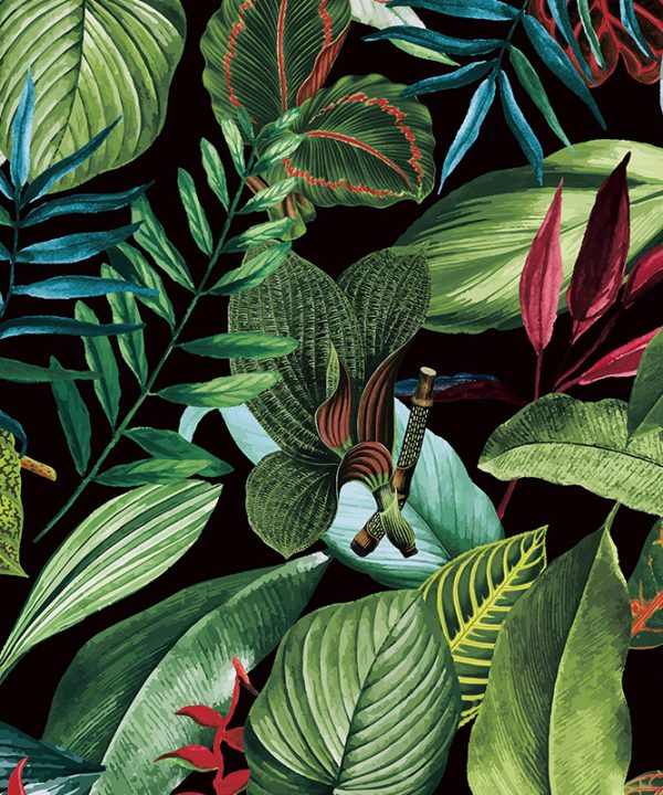 Caribbean, Hooked on Walls 27224