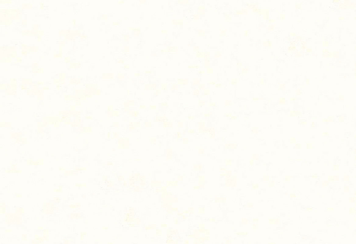 27251-PF2Q Caribbean, Hooked on Walls 27251